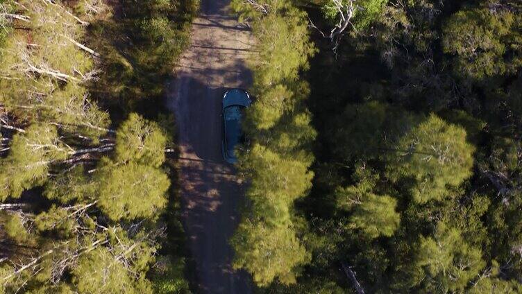 航拍汽车行驶在森林小路上豪车名车旅行度假