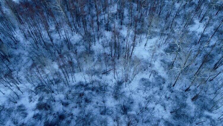 航拍寒冬雪原树林
