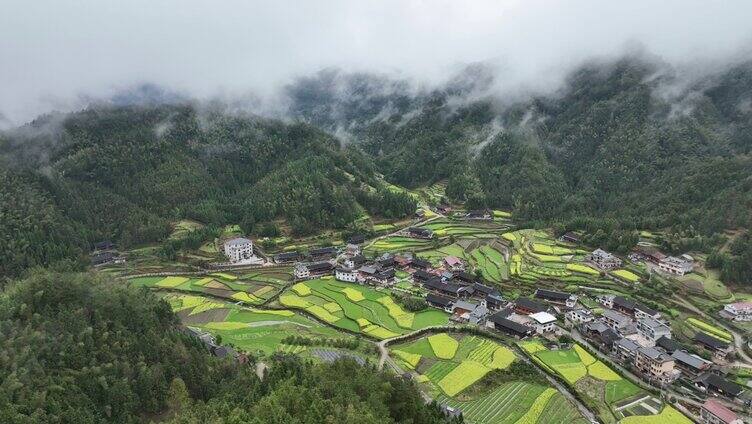 航拍奉家桃花源