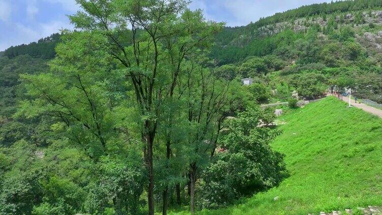 航拍枣庄山亭后峪水库森林公园板栗沟