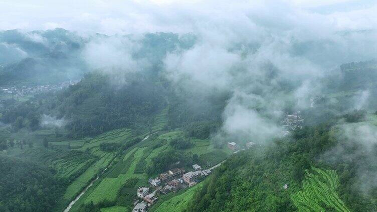 空气清新的大山农村