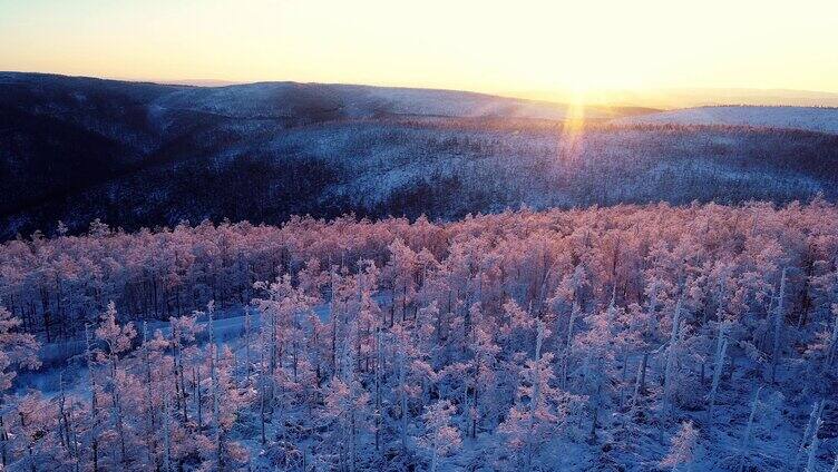 大兴安岭冬季黎明原始森林