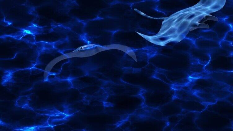 蓝色海洋深海魔鬼鱼