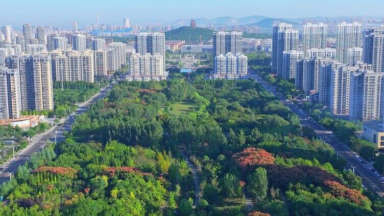 航拍枣庄薛城城南中轴线森林公园
