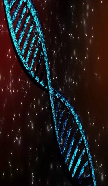 DNA螺旋藻结构3d模拟竖屏