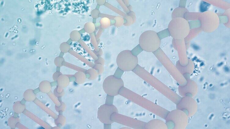 DNA螺旋藻结构3d模拟