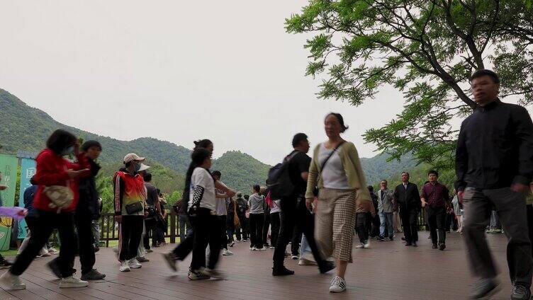 天台国清寺景区游客步道人流延时