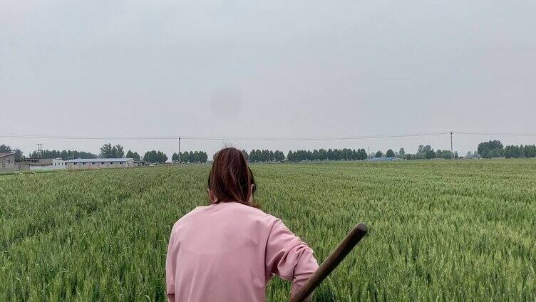 农村麦田地浇水灌溉