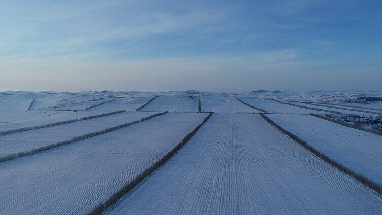 呼伦贝尔垦区雪原暮色