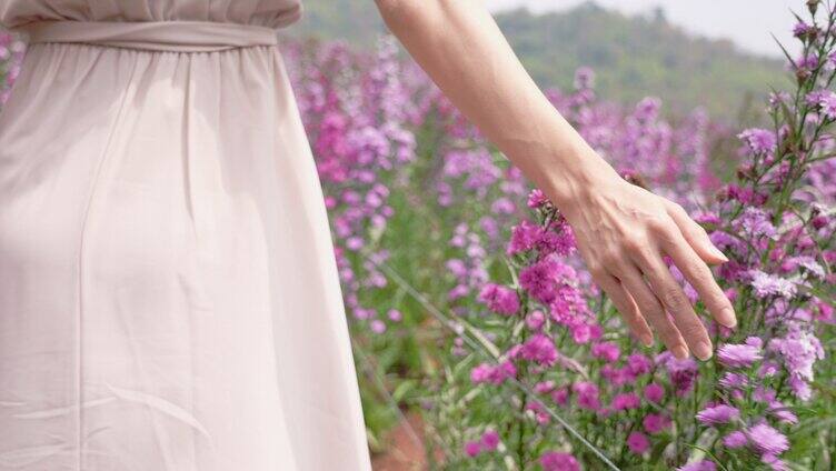 女人抚摸着花田里的薰衣草