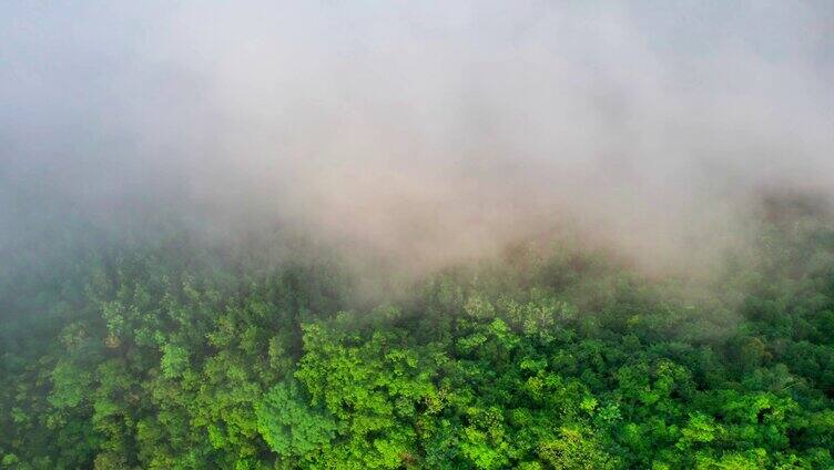 雨林水库湖泊日出云海航拍