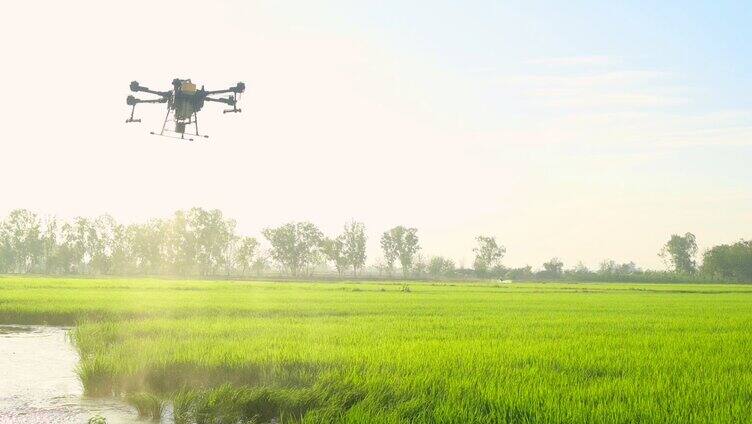 农业科技无人机喷洒农药