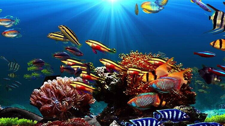 海底小鱼 海底世界 光影餐厅