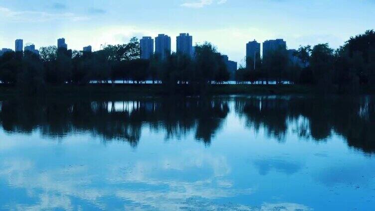 湖面上的荷叶蓝调
