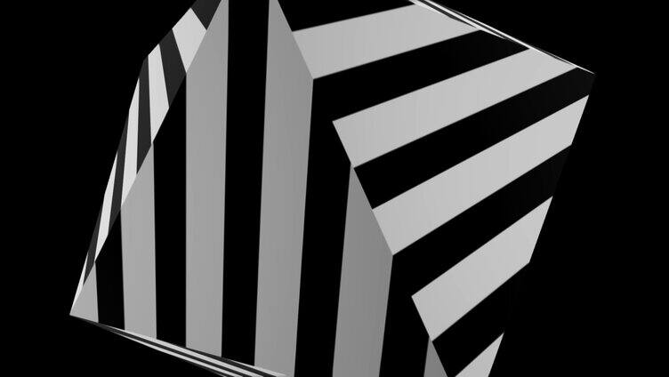 黑白 线框 抽象 潮 炫酷 动画