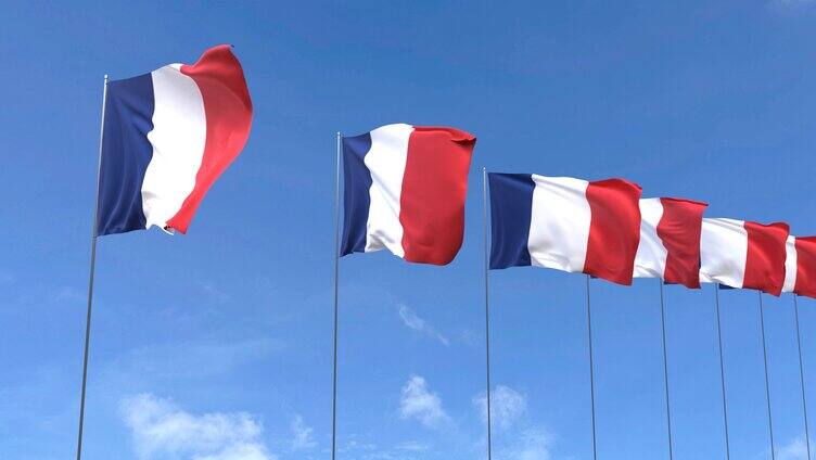 法国国旗在空中飘扬