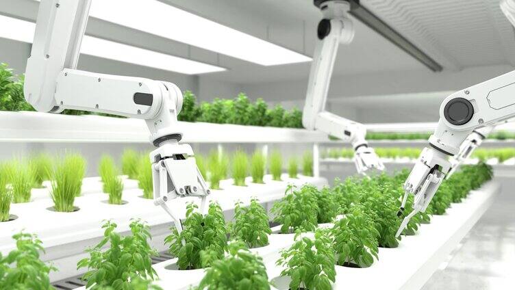 农业智能化机械臂采摘