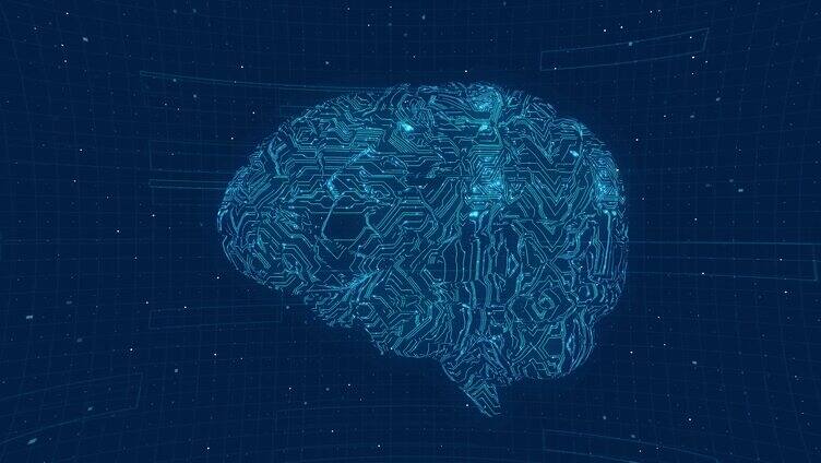 人工智能和大脑