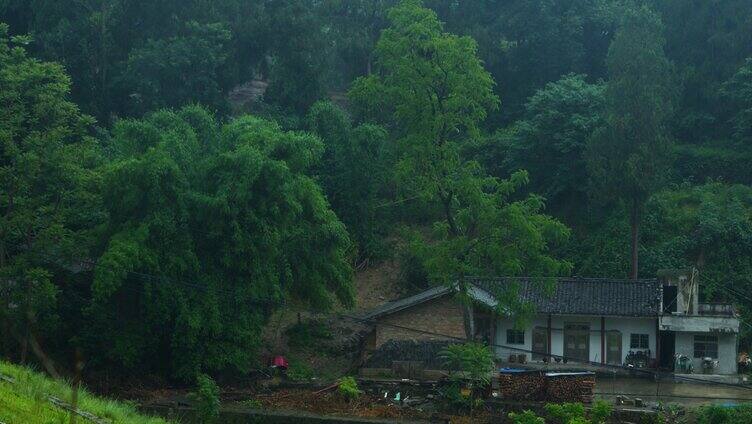 雨中的乡村 解压视频