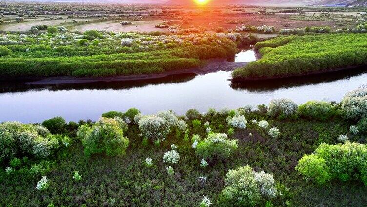 航拍山丁子花盛开的湿地暮色