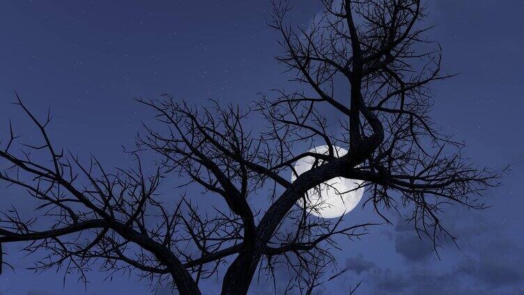 漆黑夜晚树梢上升起的月亮延时视频
