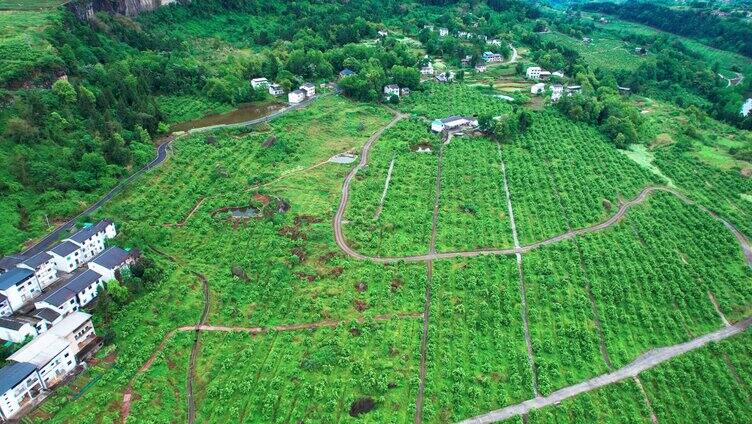 4K农村农业种植园航拍视频