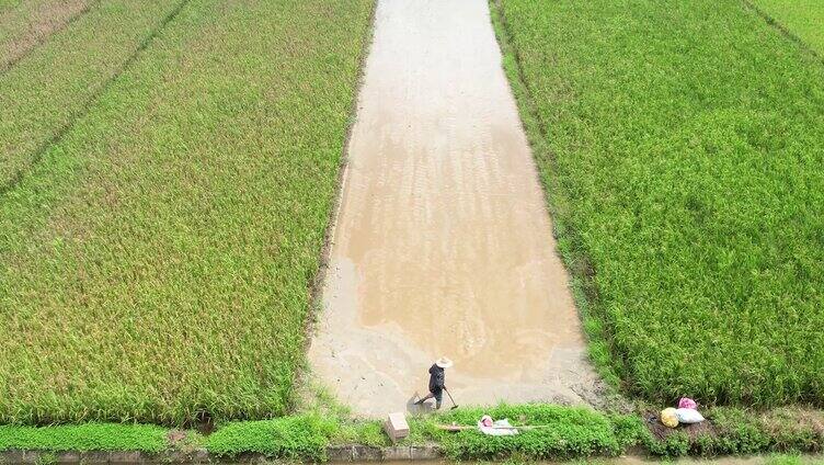 4K农业农田春夏秋冬种植三农田地田野航拍