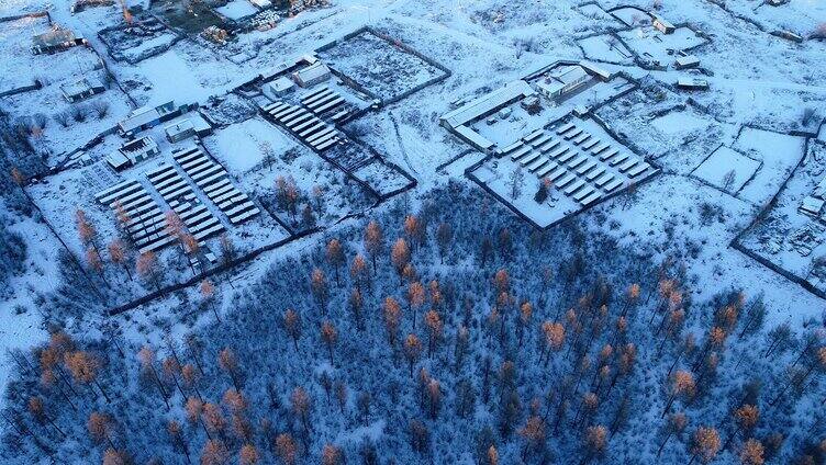 航拍大兴安岭极寒中的林场雪村