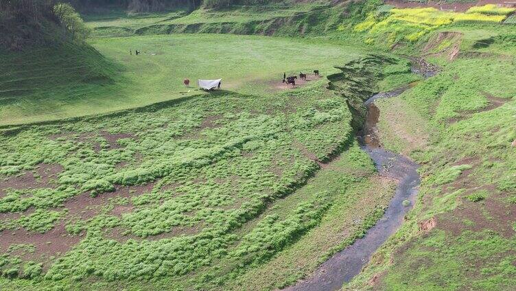 4K小溪河边休闲娱乐场地实拍视频