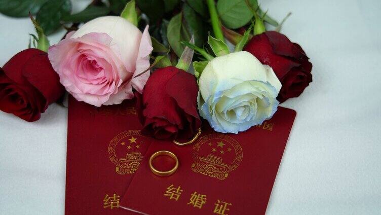 情人节领结婚证戒指玫瑰花升格视频