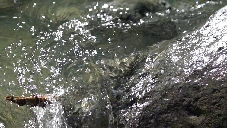 小溪河流奔腾的喝水空镜意境实拍视频