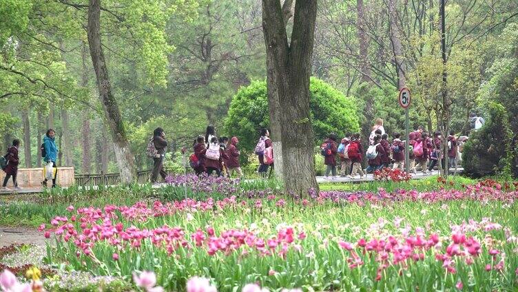 春天学生公园郊游班级活动升格实拍