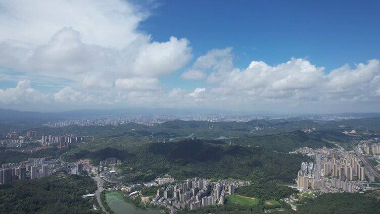 4K惠州西湖景区红花林景区航拍视频