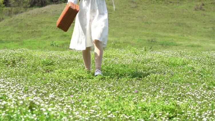 脚步特写初夏花丛唯美实拍