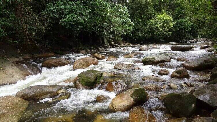 4k小河流水树木石头自然界