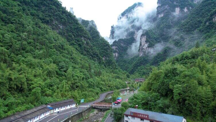 4K湖北宜昌三峡竹海自然风光4A景区航拍