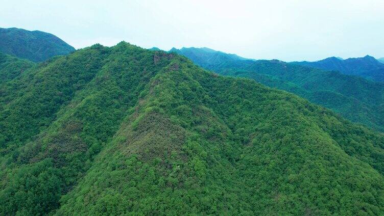 4K陕西金丝峡5A景区自然风光峡谷山峰航