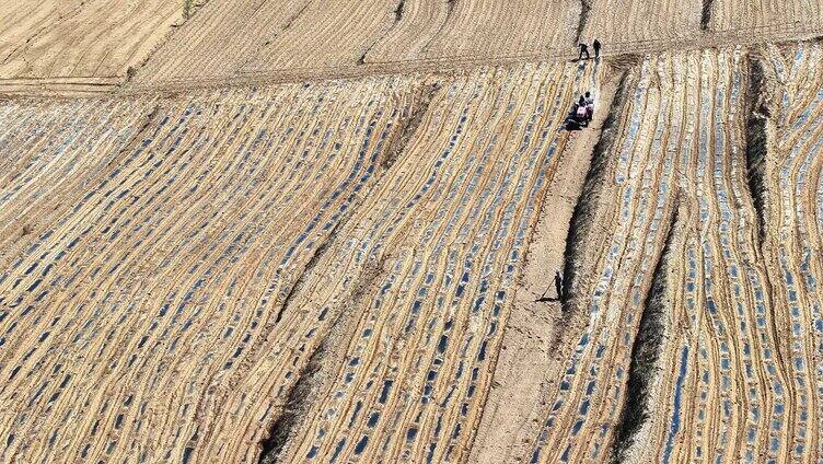 航拍山地梯田农民在田间用拖拉机覆地膜