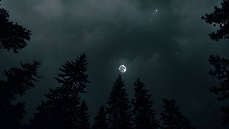 月亮在漆黑阴沉的森林中升起1