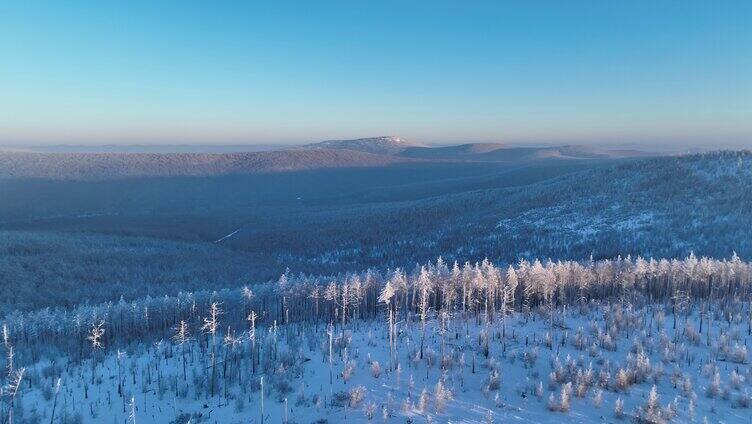 航拍大兴安岭冬季山川林海雪原