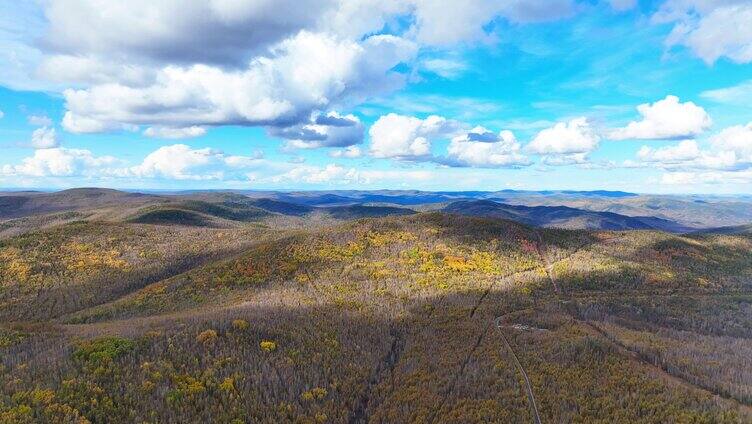 航拍大兴安岭冻土森林秋景