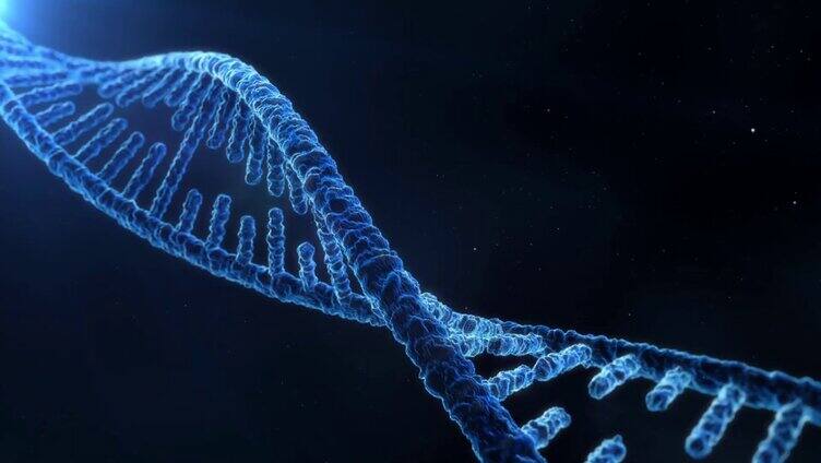 DNA染色体螺旋藻