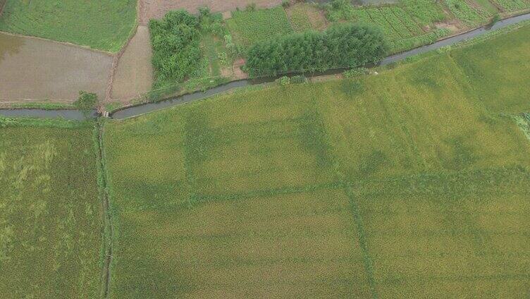 农村房屋田地