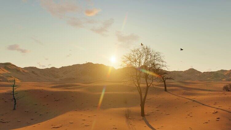 沙漠戈壁日出延时景观