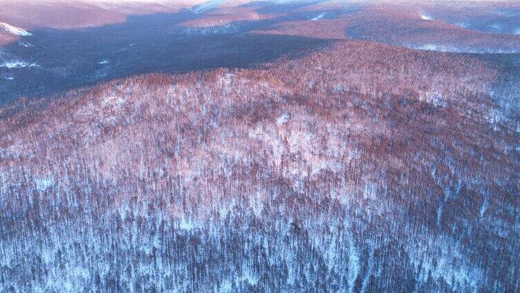 航拍大兴安岭林海雪原暮色