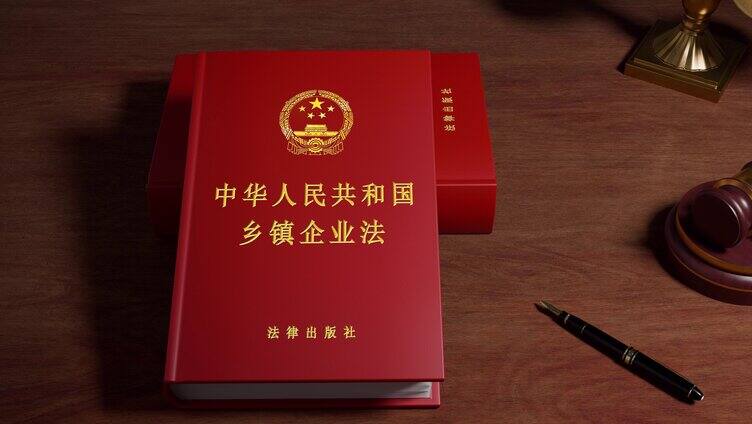 中华人民共和国乡镇企业法