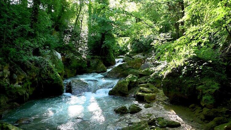 4k河流水自然森林宁静岩石特写山水