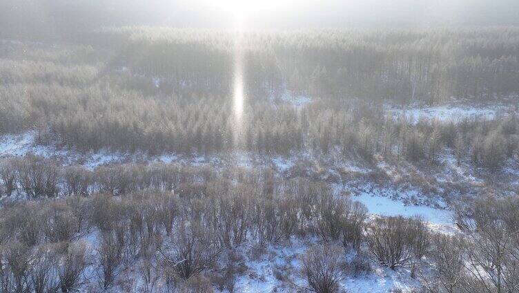 飘落雪晶的阳光雪林