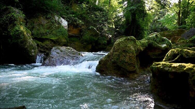 4k流水小溪河流山泉清澈自然大自然
