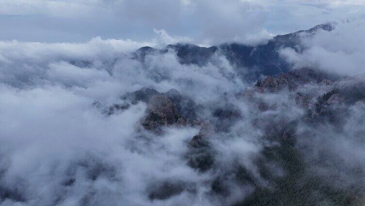 贺兰山 云雾缭绕 森林 云